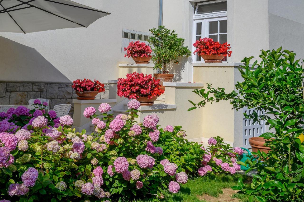 Palace Schoen Milesi - Esense Of Prestige - Private Pool - Free Parking - Old Money Style Luxury Rooms - Walking Distance To The Old Town, The Beach And All Amenities - Buralux Properties Split Extérieur photo